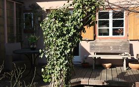 Ferienhaus Witta