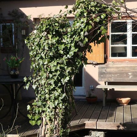 Willa Ferienhaus Witta Radebeul Zewnętrze zdjęcie